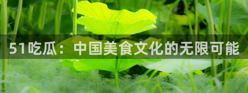 yourport吃瓜网：51吃瓜：中国美食文化的无限可能