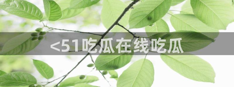 51吃瓜今日吃瓜官网最新