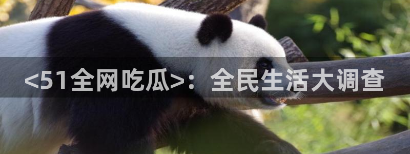 51cg吃瓜今日吃瓜：<51全网吃瓜>：全民生活大调查
