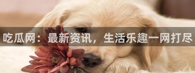 黑料爆料：吃瓜网：最新资讯，生活乐趣一网打尽