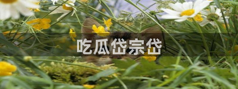 51cgfun吃瓜网怎么进：吃瓜岱宗岱