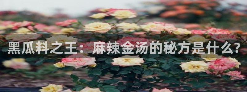 吃瓜去哪个网：黑瓜料之王：麻辣金汤的秘方是什么?