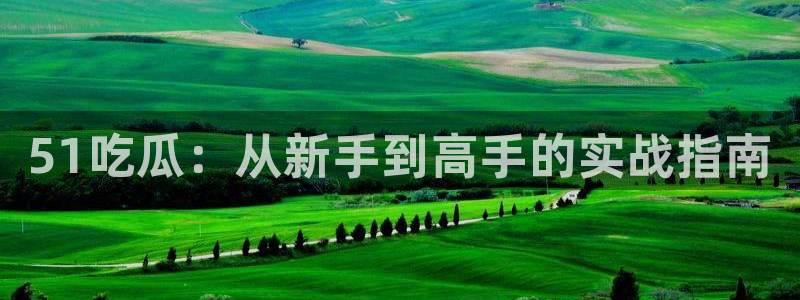 风静言我在年代文里吃瓜看戏：51吃瓜：从新手到高手的实战指南