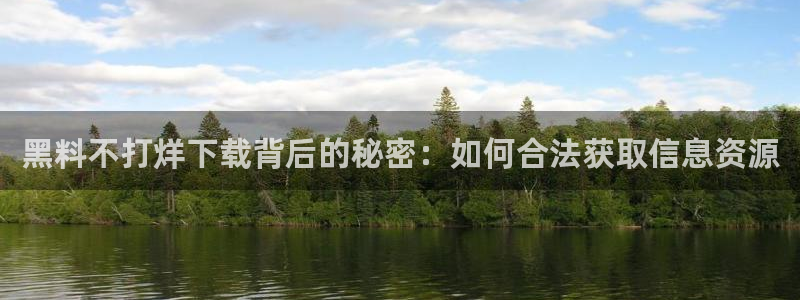 被读心后全员吃瓜吃疯了：黑料不打烊下载背后的秘密：如何合法获取信息资源