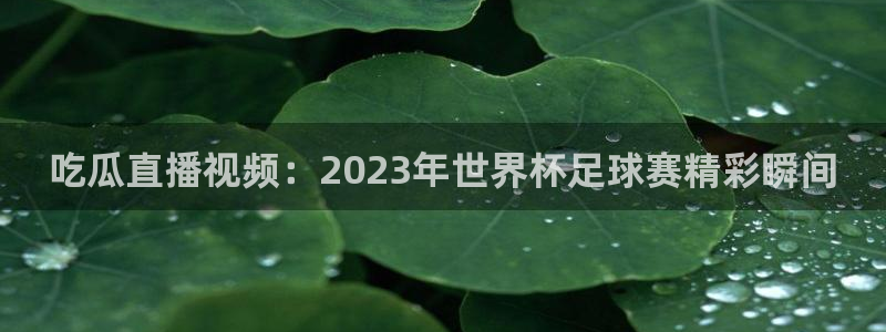 51吃瓜全网最快更新今日热门吃瓜：吃瓜直播视频：2023年世界杯足球赛精彩瞬间