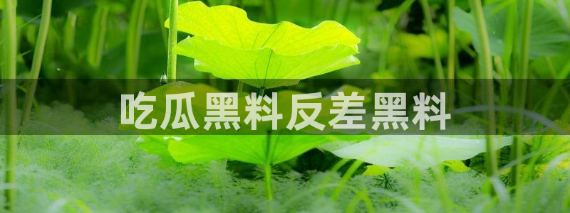 ccggme吃瓜网：吃瓜黑料反差黑料