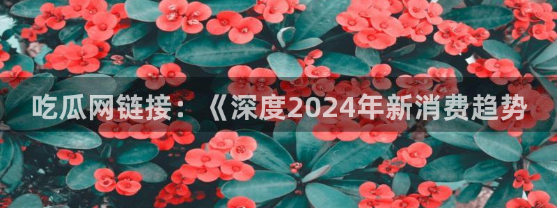 吃瓜www：吃瓜网链接：《深度2024年新消费趋势