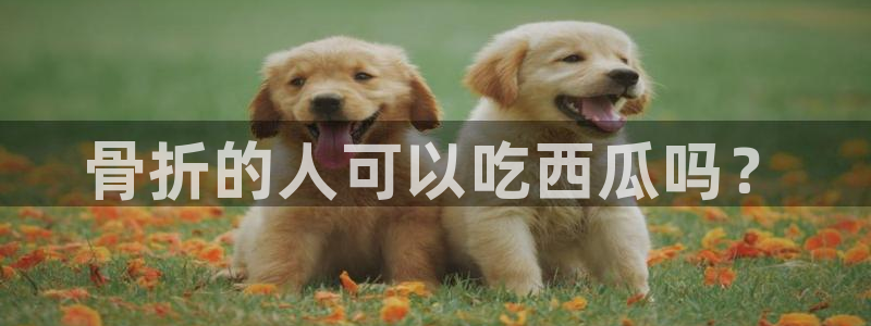 51全网更新最快最全的吃瓜网：骨折的人可以吃西瓜吗？