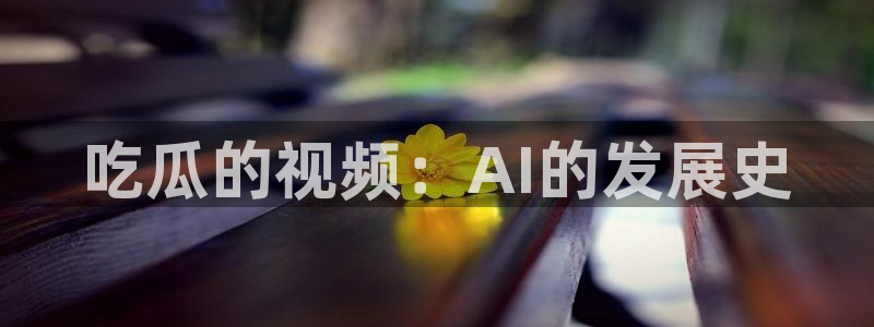 贝贝瓜可以炒着吃吗：吃瓜的视频：AI的发展史