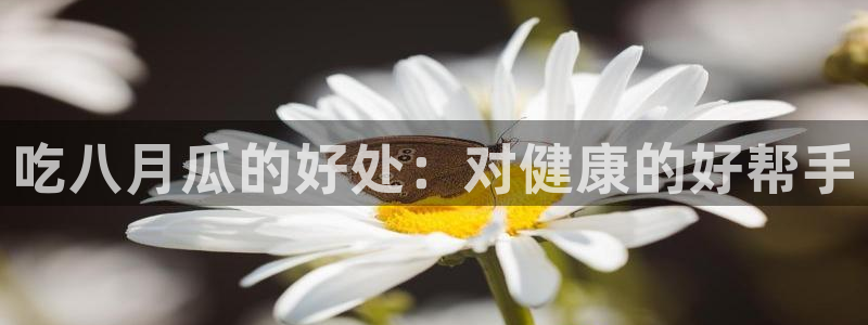 51吃瓜 张津瑜
