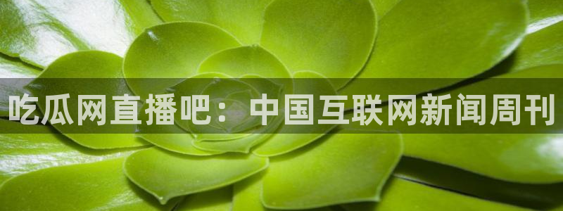 51吃瓜安卓下载:吃瓜网直播吧:中国互联网新闻周刊