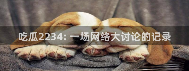 吃瓜网是全网更新最快：吃瓜2234: 一场网络大讨论的记录