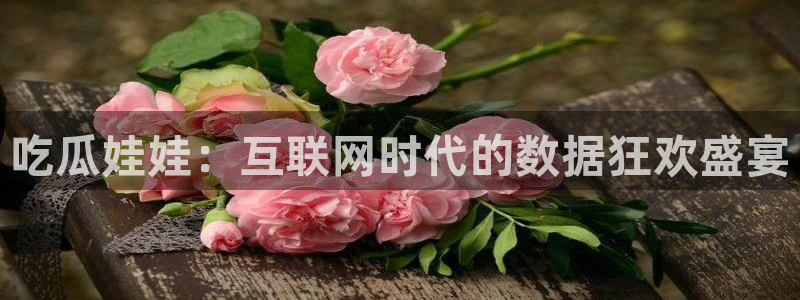 nanataipei今日吃瓜：吃瓜娃娃：互联网时代的数据狂欢盛宴