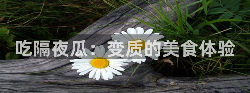 吃瓜www：吃隔夜瓜：变质的美食体验