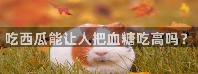 51吃瓜今日吃瓜娜娜：吃西瓜能让人把血糖吃高吗？