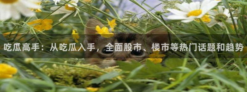 51吃瓜网今日吃瓜热门吃瓜：吃瓜高手：从吃瓜入手，全面股市、楼市等热门话题和趋势