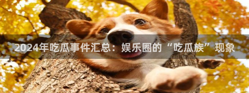 吃瓜下载：2024年吃瓜事件汇总：娱乐圈的“吃瓜族”现象