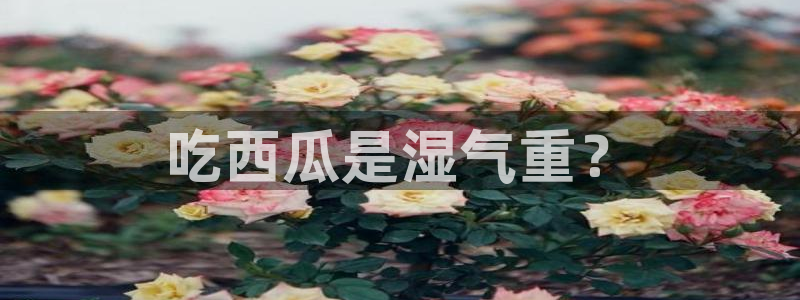 黑料.:吃西瓜是湿气重?