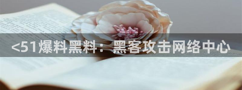 51cgfun每日吃瓜：<51爆料黑料：黑客攻击网络中心