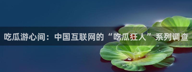 51吃瓜nanataipei：吃瓜游心间：中国互联网的“吃瓜狂人”系列调查