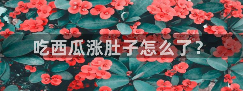 吃瓜吃到自己头上：吃西瓜涨肚子怎么了？