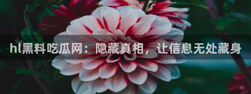 51吃瓜网小鹿酱：hl黑料吃瓜网：隐藏真相，让信息无处藏身